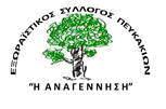 anagennisi  pefkakia logo