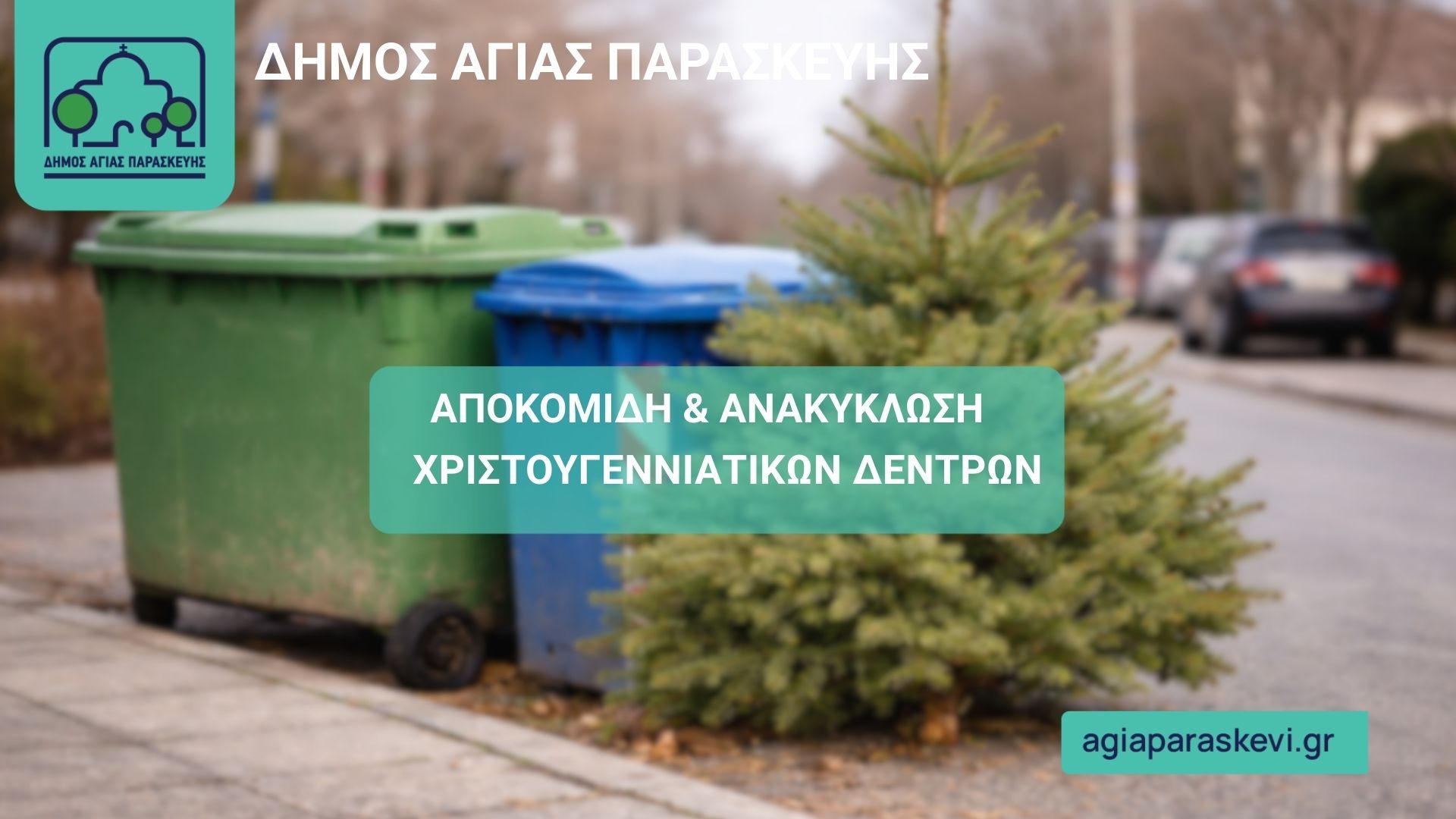 Πρόγραμμα αποκομιδής και ανακύκλωσης Χριστουγεννιάτικων δέντρων