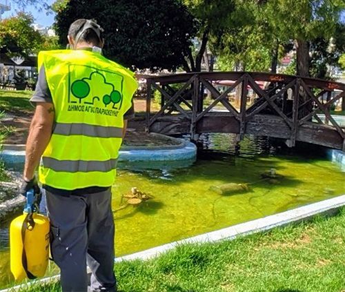 Λήψη μέτρων για την καταπολέμηση των κουνουπιών